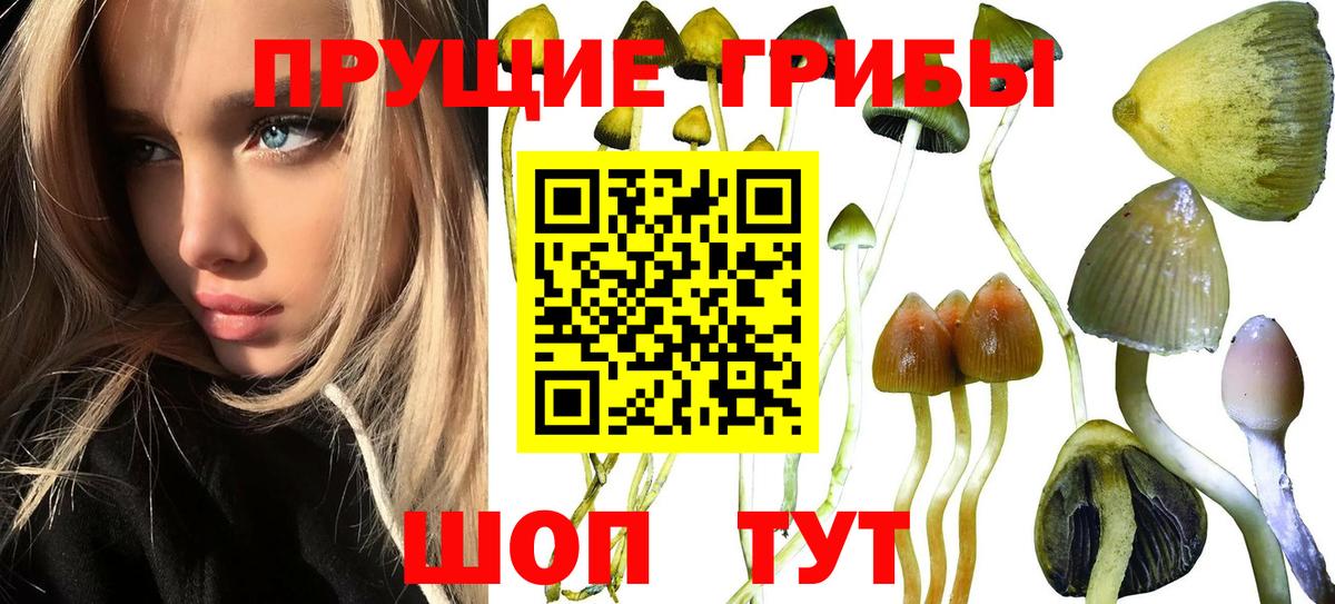 Галлюциногенные грибы мицелий Строитель